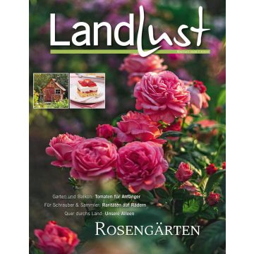Cover des Magazins "Landlust" mit üppigen rosa Rosen im Vordergrund. Kleine Bilder eines Gartenhauses und einer Erdbeertorte. Themen: Tomaten für Anfänger, Raritäten auf Rädern, Unsere Alleen, Rosengärten. Ausgabe Mai/Juni 2020.