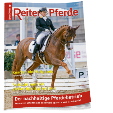 Halbsjahresabo Reiter & Pferde in Westfalen