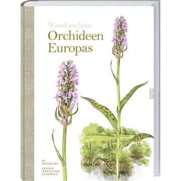 Wunderschöne Orchideen Europas