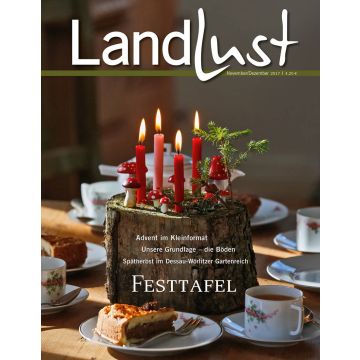 Titelbild der Zeitschrift „Landlust“ November/Dezember 2017 mit Adventsgesteck aus Baumstamm, vier roten Kerzen, Deko-Pilzen und Tannenzweig auf festlich gedecktem Kaffeetisch mit Torte und Porzellantassen.