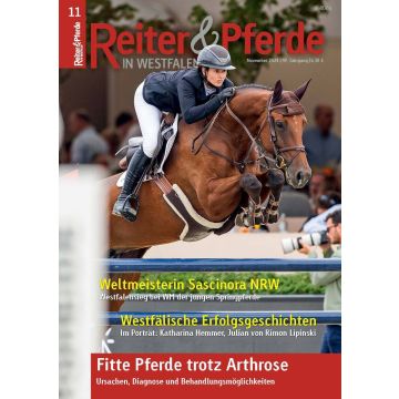 Reiter und Pferde in Westfalen 11/2024