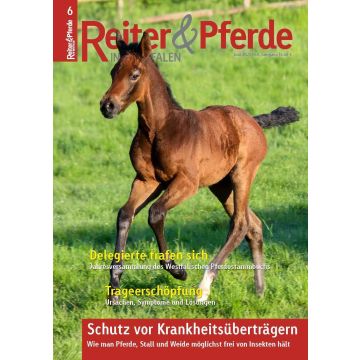 Reiter und Pferde in Westfalen 6/2025