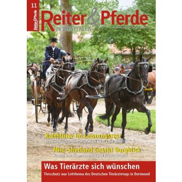 Reiter und Pferde in Westfalen 11/2025