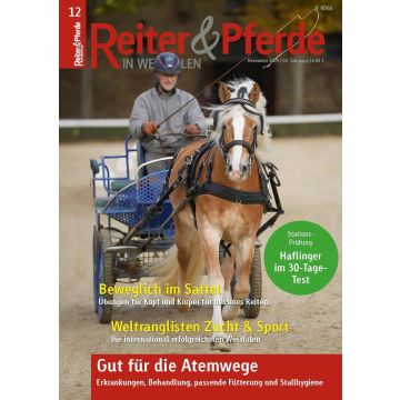 Reiter und Pferde in Westfalen 12/2025