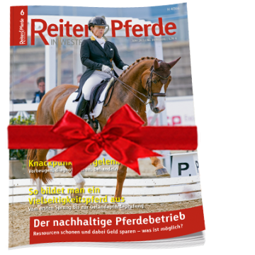 Geschenkabo Reiter & Pferde in Westfalen
