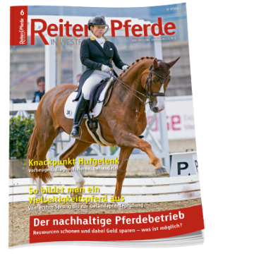 Jahresabo Reiter & Pferde in Westfalen