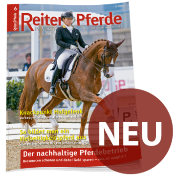 Halbsjahresabo Reiter & Pferde in Westfalen