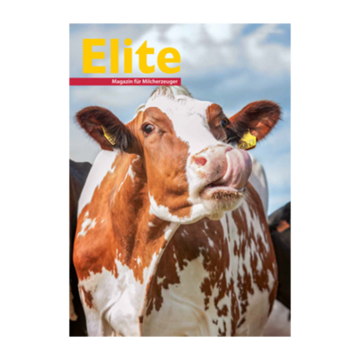 Elite Jahresabo