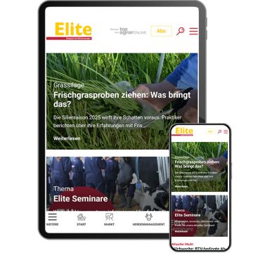 Elite Jahresabo Digital