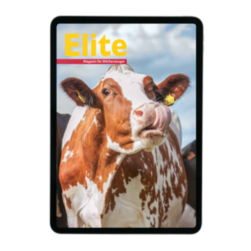 Elite Jahresabo Digital